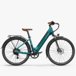 Fiido C11 Pro E-Bike